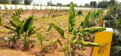 Project Image of 1350.0 - 2880.0 Sq.ft Residential Plot Plot for buy in Siyora Shakthi County Phase 1
