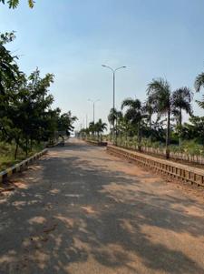 Project Image of 1499.95 - 4438.28 Sq.ft Residential Plot Plot for buy in Aneesh Sai Brundavanam