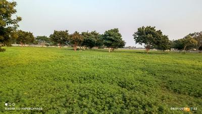 Project Image of 1250.0 - 5056.0 Sq.ft Residential Plot Plot for buy in JK Sendhur Nagar
