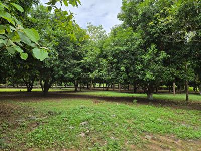 Project Image of 10000.0 - 17163.0 Sq.ft Residential Plot Plot for buy in Sai River Garden