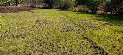 Plot Wale Dronagiri Plot 3