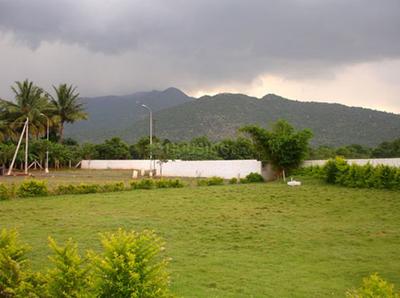 Project Image of 1617.0 - 4370.0 Sq.ft Residential Plot Plot for buy in Global Greens