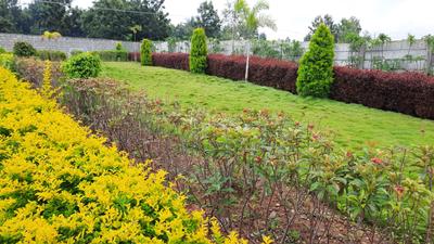 Project Image of 1200.0 - 2400.0 Sq.ft Residential Plot Plot for buy in Sirimane Serenity