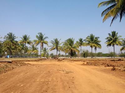 Project Image of 1200.0 - 2400.0 Sq.ft Residential Plot Plot for buy in Ashoka Aarna