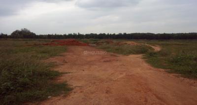 Project Image of 1500.0 - 6000.0 Sq.ft Residential Plot Plot for buy in AVM Green Valley