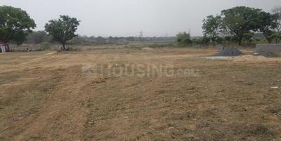 Project Image of 2000.0 - 3000.0 Sq.ft Agricultural Land Agricultural Land for buy in Our Town Agriculture land 1