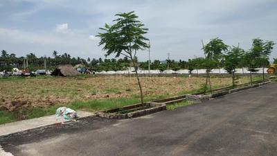 Project Image of 1503.0 - 3150.0 Sq.ft Residential Plot Plot for buy in Harmony Town East