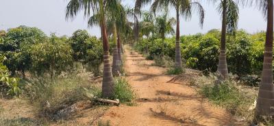 Project Image of 2178.0 - 5445.0 Sq.ft Residential Plot Plot for buy in City Anuttara Farms