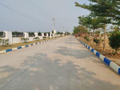 Project Image of 1319.76 - 4274.35 Sq.ft Residential Plot Plot for buy in TMR Green Meadows