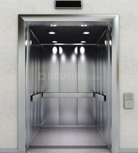 Habulus Hights Lift(s) 1