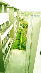 Project Image of 373.83 - 616.66 Sq.ft 1 BHK Apartment for buy in Grow Riverside Greens