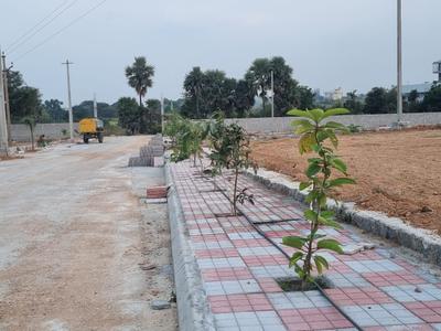 Project Image of 1359.0 - 5328.0 Sq.ft Residential Plot Plot for buy in Renuka AIIMS Enclave