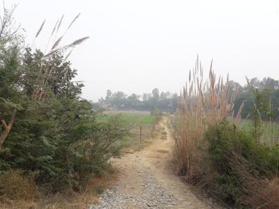 Project Image of 9072.0 - 45360.0 Sq.ft Residential Plot Plot for buy in Sun Midcity Farms