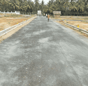 Project Images