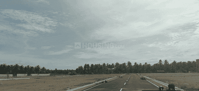 Project Images