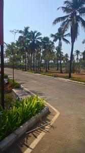 Project Image of 775.0 - 2000.0 Sq.ft Residential Plot Plot for buy in Sapphire Garden Phase 1