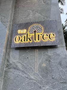 Project Image of 416.0 - 2717.0 Sq.ft Residential Plot Plot for buy in Oak Tree