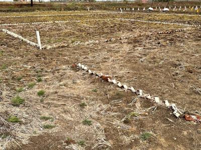 Project Image of 1089.0 - 5445.0 Sq.ft Residential Plot Plot for buy in Propzone Residential Plots In Ranjanpada Navi Mumbai