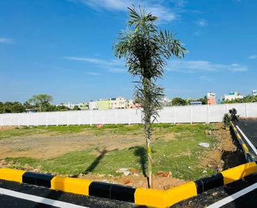 Project Image of 940.0 - 2000.0 Sq.ft Residential Plot Plot for buy in Staar Homes Serasa Avenue