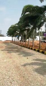 Aspire Serene City Elevation 1