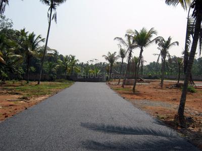 Project Image of 1572.0 - 3571.0 Sq.ft Residential Plot Plot for buy in Coral Gardens