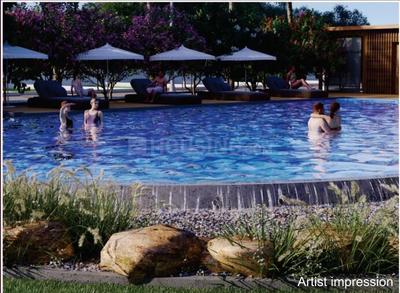 Avinash Avinash Cosmocity Swimming Pool 2