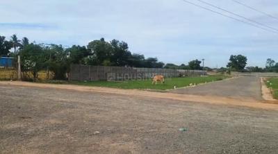 Project Image of 599.0 - 2400.0 Sq.ft Residential Plot Plot for buy in TNC Tirupachur