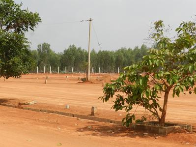 Project Image of 1200.0 - 4800.0 Sq.ft Residential Plot Plot for buy in Shreyas Sunrise Block A
