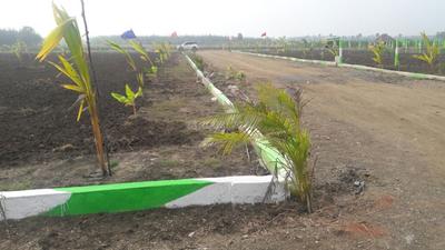 Project Image of 9600.0 - 19999.0 Sq.ft Residential Plot Plot for buy in Kingmakers Farm Land