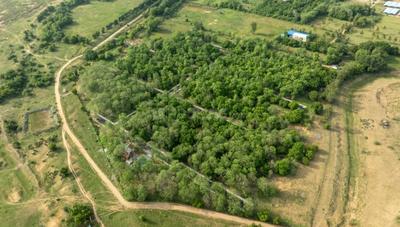 Project Image of 10000.0 - 17163.0 Sq.ft Residential Plot Plot for buy in Sai River Garden