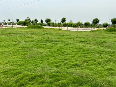 Project Image of 1000.0 - 11000.0 Sq.ft Residential Plot Plot for buy in Mauli Nagar 19