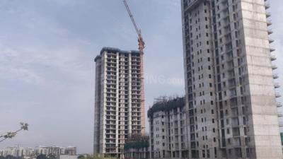 Project Image of 1350.0 - 2160.0 Sq.ft 3 BHK Apartment for buy in Affinity Belgravia