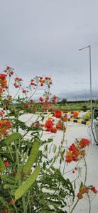 Project Image of 945.0 - 2880.0 Sq.ft Residential Plot Plot for buy in Akshita Inspiring Edge