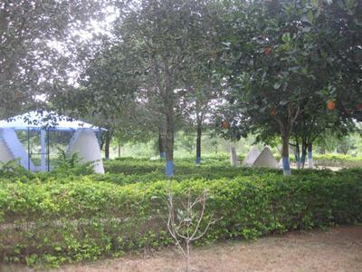Project Image of 1215.0 - 2430.0 Sq.ft Residential Plot Plot for buy in Vasundhara Lorvens Gold Leaf