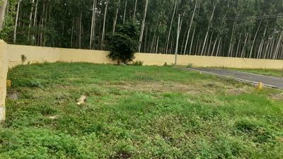 Project Image of 800.0 - 2729.0 Sq.ft Residential Plot Plot for buy in Nova KNT