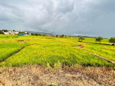 Gallery Cover Pic of Cityprop Plots In Chirle