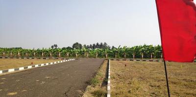 Project Image of 541.96 - 1980.02 Sq.ft Residential Plot Plot for buy in Guhan Gokula Krishna Nagar