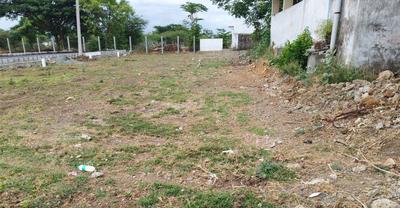 Project Image of 891.0 - 1384.0 Sq.ft Residential Plot Plot for buy in Eden ENK Garden Extension