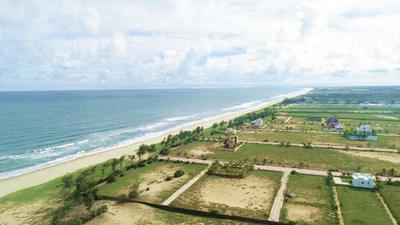Project Image of 636.0 - 3814.0 Sq.ft Residential Plot Plot for buy in Pearl Ocean Front