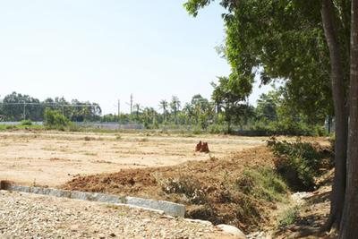 Project Image of 1200.0 - 2400.0 Sq.ft Residential Plot Plot for buy in Maxworth Max Blossom