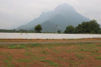 Project Image of 806.0 - 2029.0 Sq.ft Residential Plot Plot for buy in VS Avenue