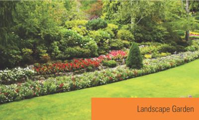 Project Image of 171.04 - 606.98 Sq.ft 1 RK Apartment for buy in Shraddha Autumn Park