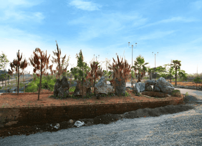 Project Images
