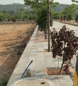 Project Image of 1388.54 - 5661.82 Sq.ft Residential Plot Plot for buy in Royal Rise County
