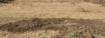 Project Image of 820.75 - 9471.49 Sq.ft Residential Plot Plot for buy in Shivanand 6