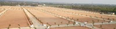Project Image of 1503.0 - 4500.0 Sq.ft Residential Plot Plot for buy in Peram Aditya Ankura