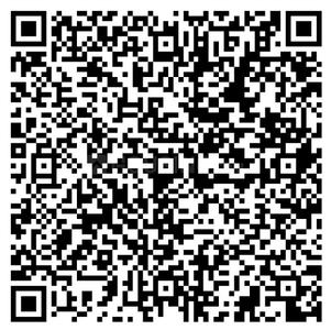 Matrix Elegance QR Code 1