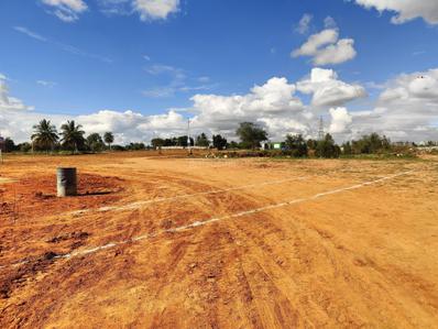 Project Image of 1160.67 - 3030.04 Sq.ft Residential Plot Plot for buy in Lake Botanica Phase 2