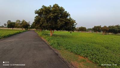 Project Image of 1250.0 - 5056.0 Sq.ft Residential Plot Plot for buy in JK Sendhur Nagar