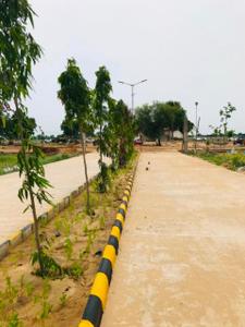 Project Image of 900.0 - 2250.0 Sq.ft Residential Plot Plot for buy in Sky Krishna City